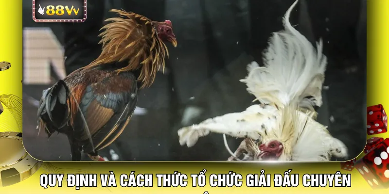 Quy định và cách thức tổ chức giải đấu chuyên nghiệp